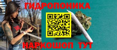 a pvp Заводоуковск
