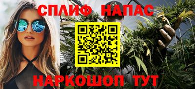 сатива Заволжье