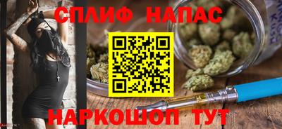 сатива Заволжье