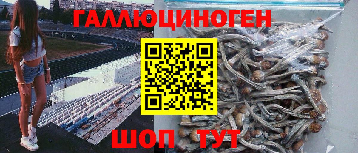 Псилоцибиновые грибы Psilocybine cubensis  Вход с VPN  продажа наркотиков  Мирный 