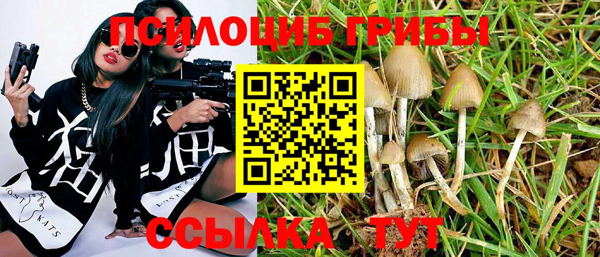 Псилоцибиновые грибы мухоморы Мирный
